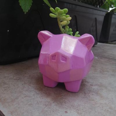 maceta-cerdito