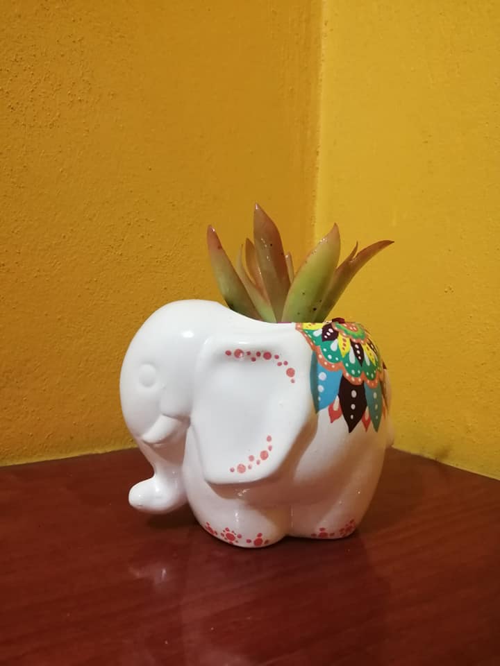 maceta-cerdito