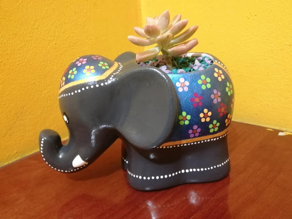 maceta-elefante-2